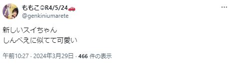 石川楓がしんべえに似てるに関するツイート