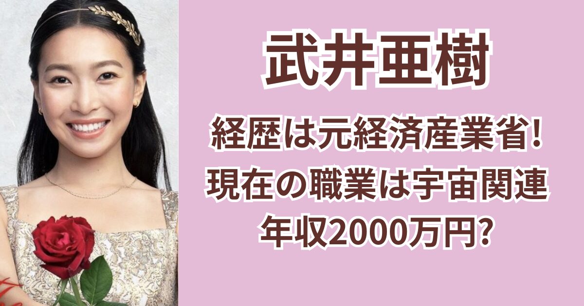 武井亜樹の経歴は元経済産業省