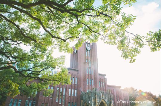 武井亜樹の出身大学