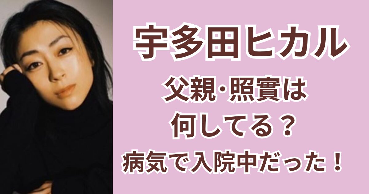 宇多田ヒカルの父親･宇多田照實の現在