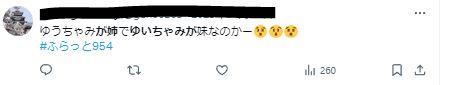 ゆいちゃみが姉に見えるに関するツイート