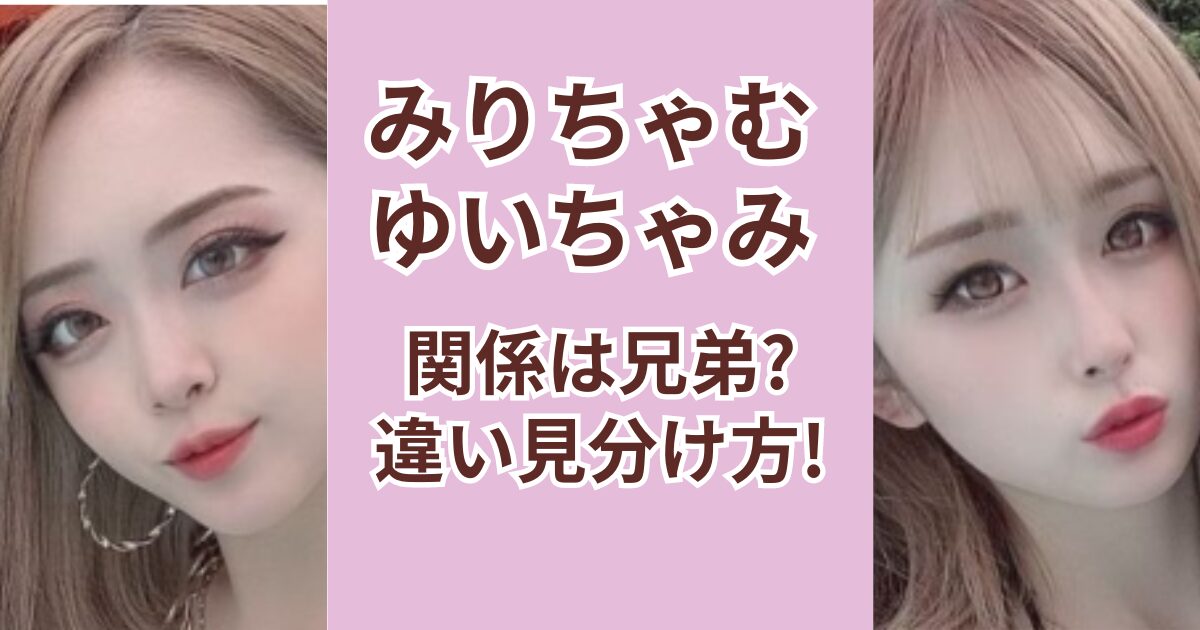 みりちゃむとゆいちゃみの関係は兄弟？