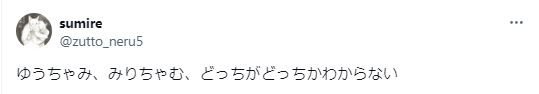 みりちゃむとゆうちゃみの違いがわからないについてのツイート