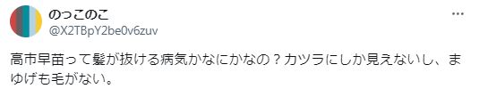 高市早苗のウィッグと眉毛に関するツイート